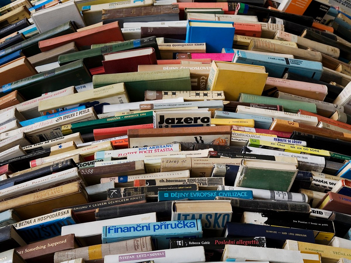 Are Economic Networks the Key to Successful Business Management? A Case Study of Google and&nbsp;Amazon